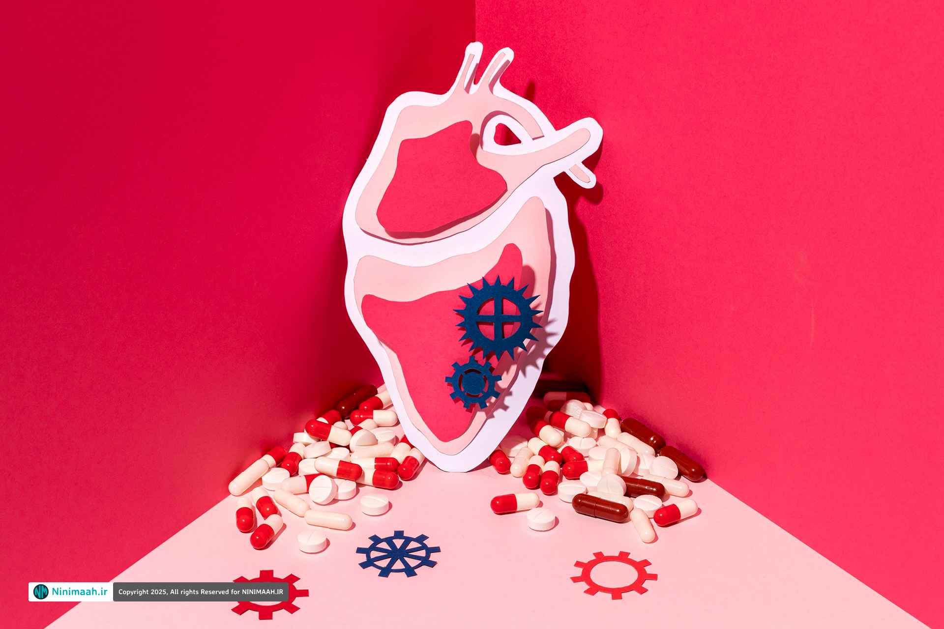 غذاهای مفید برای افتادگی دریچه میترال؛ تغذیه‌ای سالم برای قلبی آرام