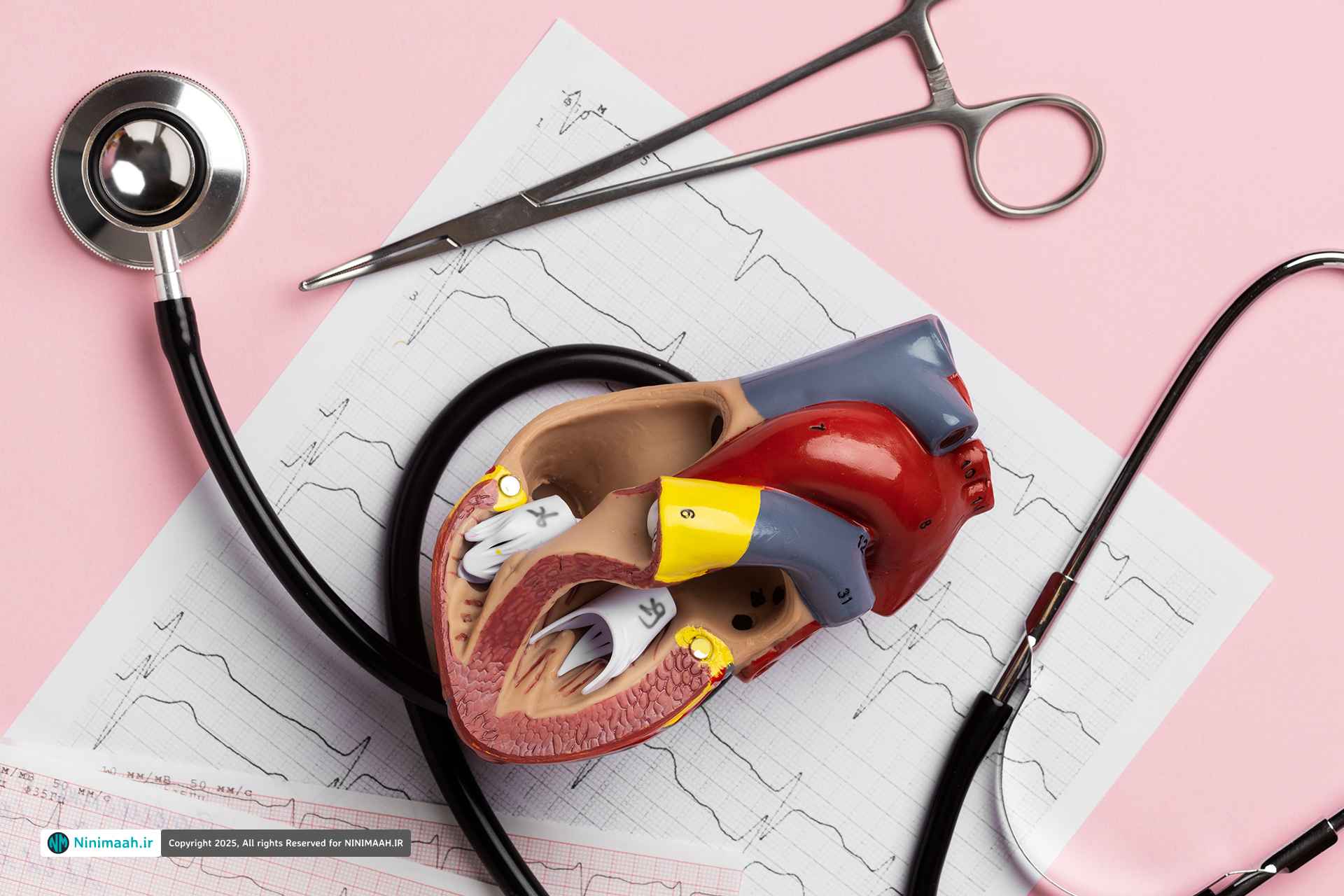 غذاهای مفید برای افتادگی دریچه میترال؛ تغذیه‌ای سالم برای قلبی آرام